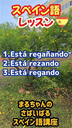 【スペイン語単語】動詞も同時に覚えよう！#スペイン語 #スペイン旅行