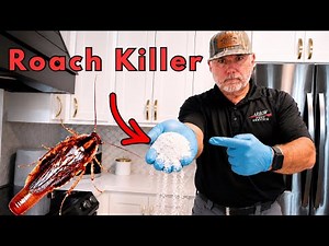 MOST EFFECTIVE German Roach Killer Nobody Talks About!
