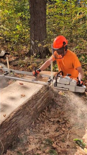 milling beautiful maple slabs with Alaskan chainsaw mill