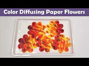 How to Make Color Diffusing Paper Flowers