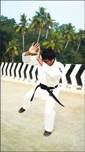 The Art of Karate | Form Demo #karatedominic
