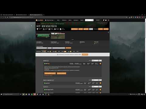 How to setup Fallout New Vegas to run properly at high FPS/remove mouse accel on modern systems 2024