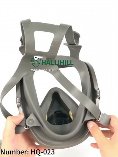 6800 Gas Mask | Full Face Reusable Respirator for Industrial & Chemical Protection