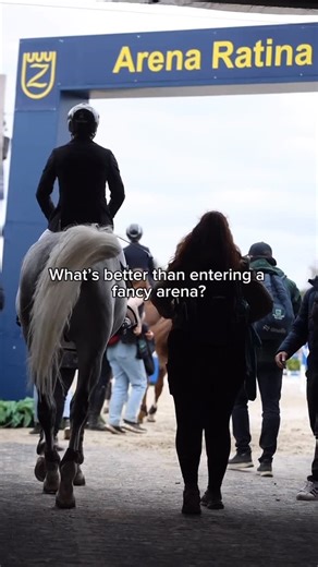 Equi Team on Instagram: "What’s better than entering a fancy arena? Entering it with a horse that makes it feel effortless. ✨🐎 The right partner changes everything — from the first stride to the final salute. If you’re looking for that feeling… you know where to find me. 😉 Horses for sale — videos on request. 📩 @equi_team_for_sale 📞 +40 793 228 482"