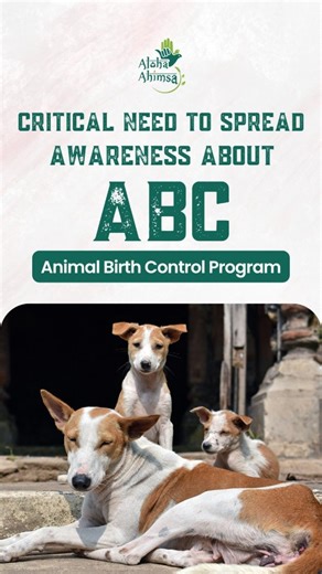 Aloha Ahimsa Foundation on Instagram: "You cannot delete animals from an ecosystem. You only create the next crisis. Surat tried it in 1994. India paid the price. Today, the same mistakes are being repeated. Not because there is no solution. But because people are not told about it. ABC is scientific. ABC is humane. ABC works. Awareness is our duty now. #StopCruelty #ABCProgram #AnimalJustice #IndianDogs #SaveDelhiNCRDogs"