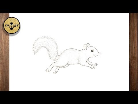 How to draw a squirrel running easy step by step for beginners