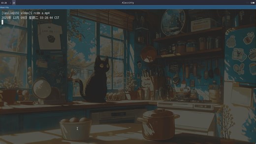 018_leetcode刷题_找出字符串中第一个匹配项的下标_完整的BoyerMoore算法_go语言