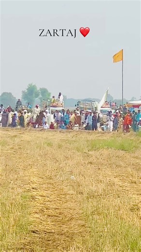 Horse Riding Adventures at Awan Farmhouse