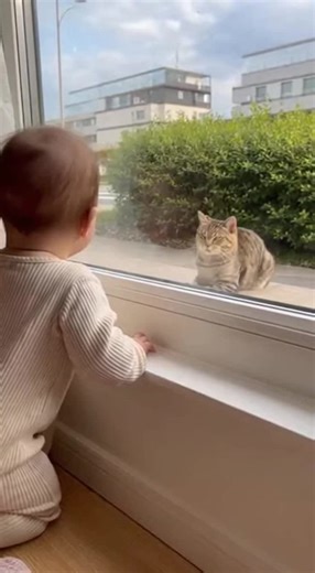 Byte Code (@byte.code4)’s videos with original sound - Byte Code