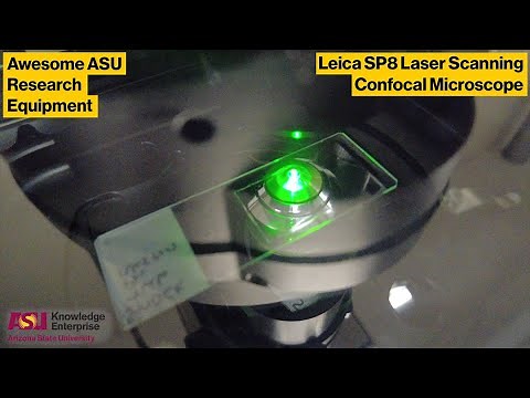 ASU Core Facilities Equipment Showcase: Leica SP8 Laser Scanning Confocal Microscope