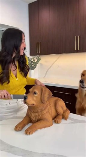 My Dog's Reaction to Cutting a Realistic Dog Cake! 😱🐶 #funny #funnydog #funnydogs #dog #cute #puppy