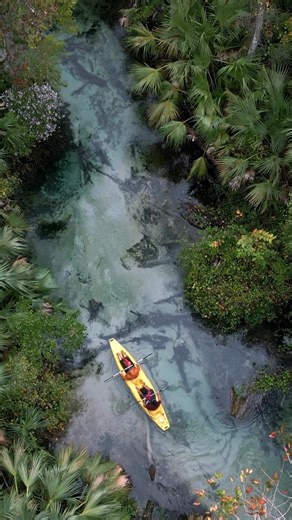 This state has some of the most beautiful natural springs you'll ever see! Location in comments. #naturelovers #adventuretravel #kayaking #Springs | The Nature Seeker