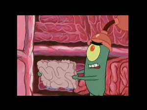 Sounds That Make Squidward Upset: Ernie's Laugh