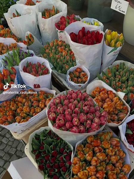 Exploring Berlin: A Visual Journey Through the City