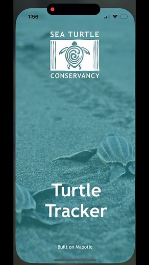Adopt a Sea Turtle and Join the Conservancy