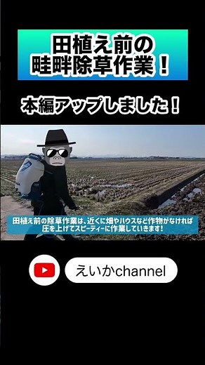 【除草剤】田植え前の畦畔除草作業！【盈科】 #農業 #除草剤 #ラウンドアップ #噴霧器 #新潟
