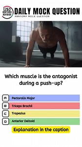 Which muscle is the antagonist during a push-up? A) Pectoralis Major B) Triceps Brachii C) Trapezius D) Anterior Deltoid 👉 Explanation: The correct answer is C) Trapezius. During a push-up, the trapezius acts as the antagonist muscle, helping to stabilize the shoulder blades and control the movement as the pectoralis major and triceps brachii contract to push the body upward. Understanding the role of antagonist muscles is essential for effective strength training and injury prevention, as they