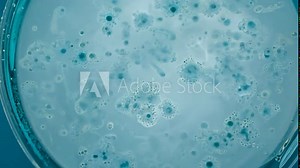 Microscopic views reveal viruses multiplying and infecting surrounding cells, showcasing the complex interactions involved in viral replication and spread within biological systems