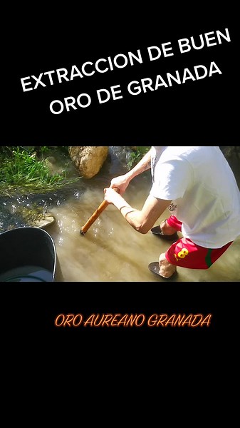 BUEN ORO DE GRANADA#Andalucia #Aventura #Youtube #suscribete #2022 #fiebredeloro #golddigger #oroaureanogranada #maestro_pala #Granada #dmax