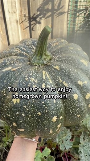 The easiest way to enjoy pumpkin! | Air Fryer Recipe #airfryer #pumpkin #easyrecipe