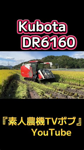 Kubota DR6130 刈り取り作業｜コンバイン・ハーベスター実演