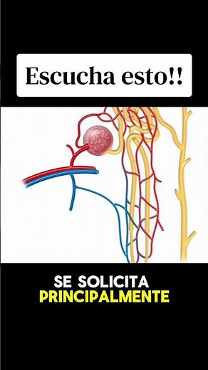 Relación albúmina-creatinina en orina: qué es, cómo detecta daño renal y por qué es importante