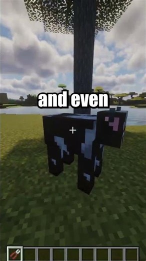 Organs in Minecraft!