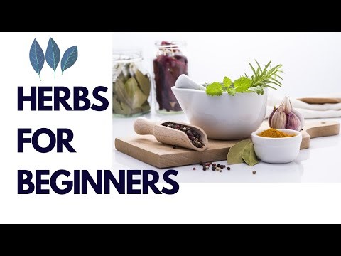 Exploring Herbs for Beginners | Herbalist Essentials
