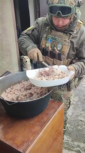 Dogs in Modern Warfare: Roles and Responsibilities