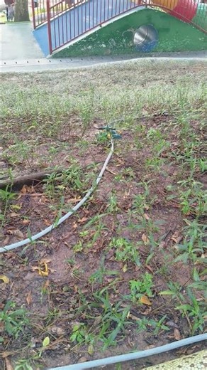 Automatic Rotating Sprinkler for Lawn