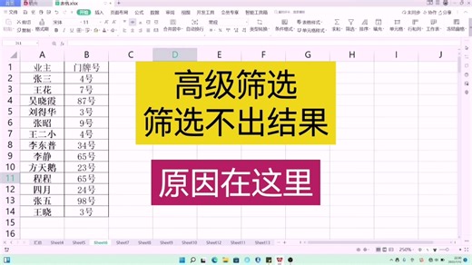 高级筛选，筛选不出结果的原因 WPS表格 Excel表格