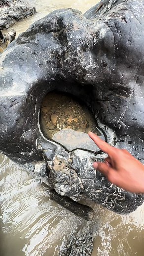 Discovering a Treasure Trove of Gold Dust