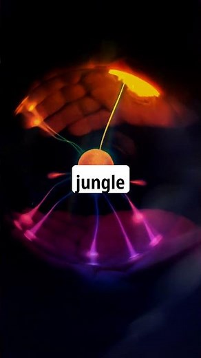 Invisible Soldiers: The Future of Camouflage Tech