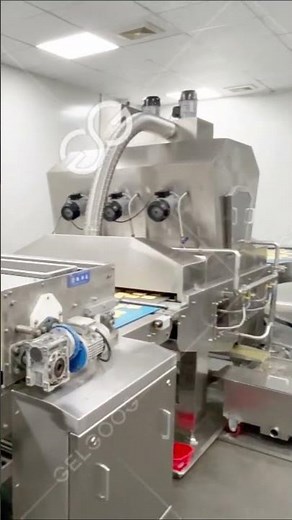 Automatic Soda Biscuits Making Machine | Biscuit Baking Oven