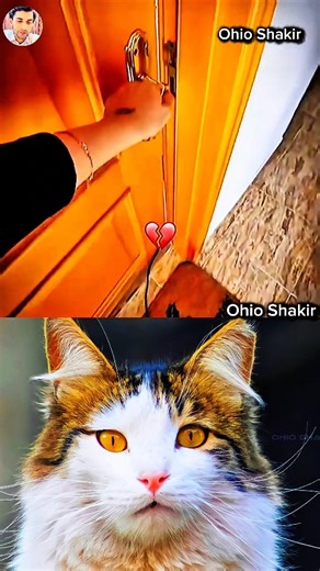 #aesthetic ☠️😂