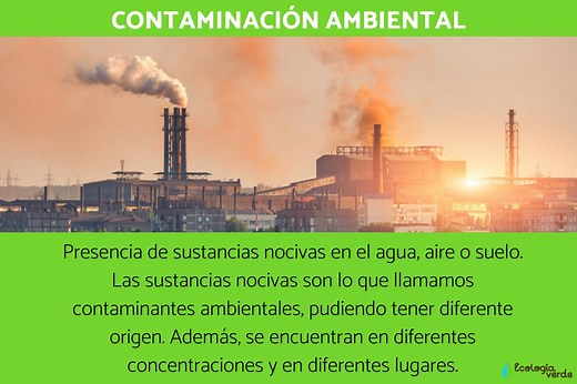 Qué es la contaminación ambiental - Resumen