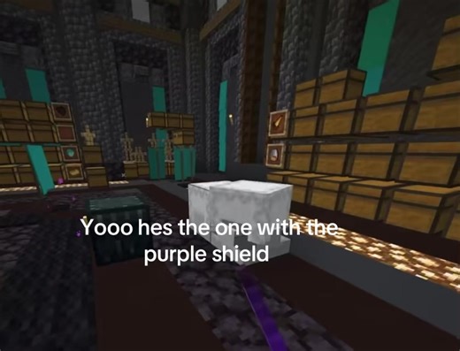 #fyppp #wemmbu #unstablesmp #foryou #viral | yall hes the one with the purple shield