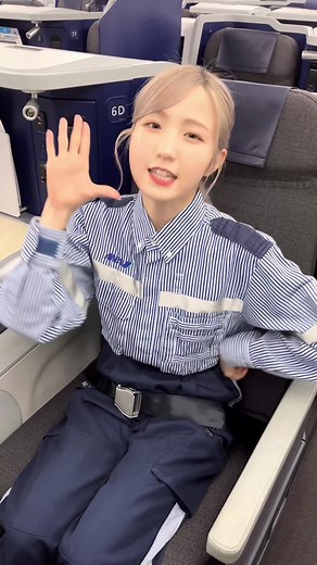 フライングホヌの再開とANAの整備士紹介