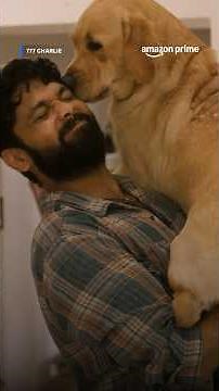 Rakshit Shetty And His Love For The Cute Dog Charlie 🥹 | Cute Scene | 777 Charlie | #primevideoindia