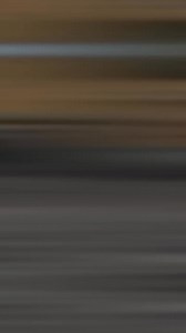 2 Surprising Facts About Andalusian Horses #horse #equestrian #andalusian | Furry Stories