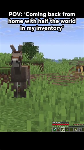 Creative Ways to Move Items in Minecraft