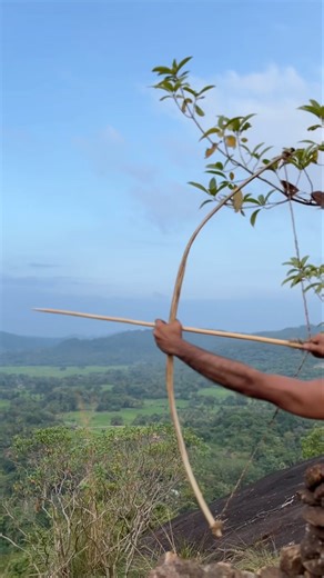 How To Make Survival Bow And Arrows .#forest #primitive#shortviral