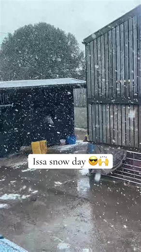 Snowing here in Cheshire #craigsboxing1 #fyp #snow #malpas #cheshire