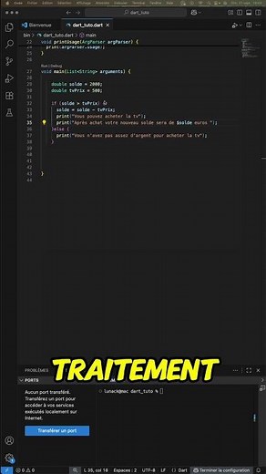 Comment faire une condition dans un programme informatique ?#dart #algo #tutorial
