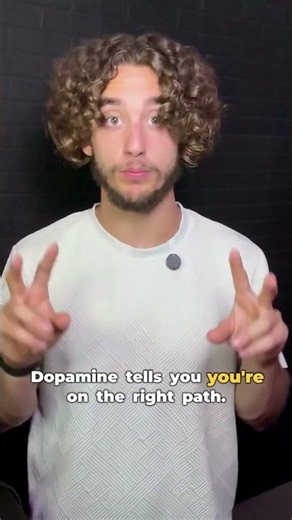Why A Dopamine Detox Doesn't Work