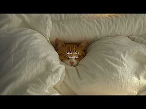 a quiet playlist for quiet people (winter version) 🤍