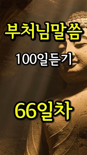 🌸 부처님 말씀 100일 듣기 | 천수경 "부처님이 전하는 진짜 쉴 곳을 찾는 법" | 66일차