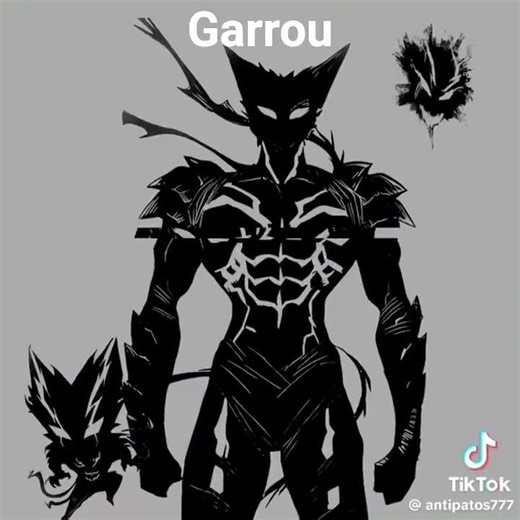 garrou todas las fases xdd