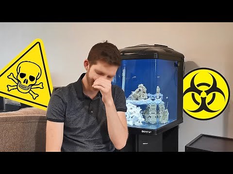 How to kill Green Hair Algae (Hydrogen Peroxide & Fluconazole)