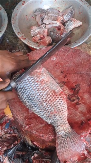 Watch This Before You Eat Fish 🤯 Perfect Tilapia Cutting